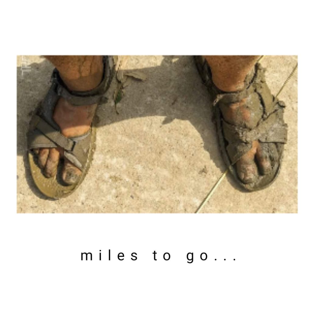 Dreams submerged yet again and again